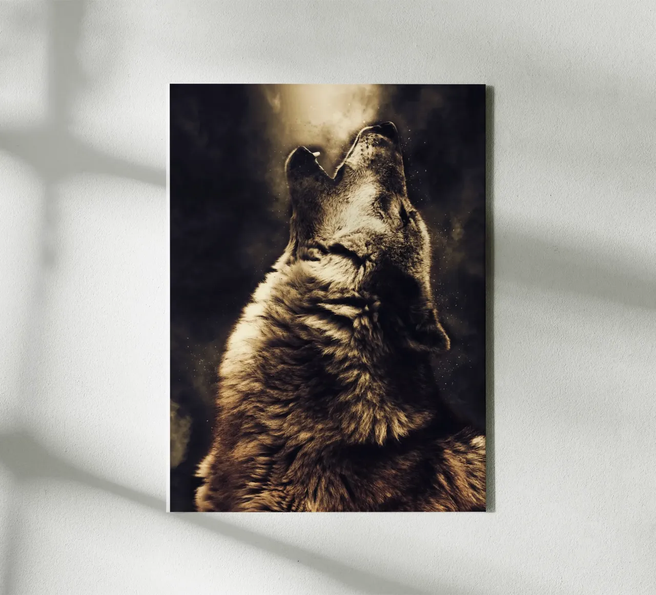 Wolf 2 tela da Mateo