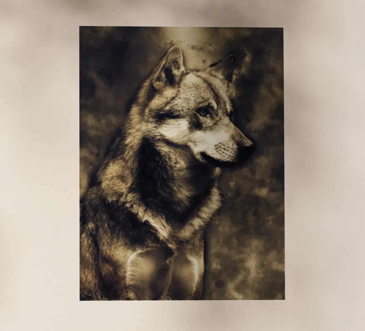 Wolf 3 pellicola backlit da Mateo