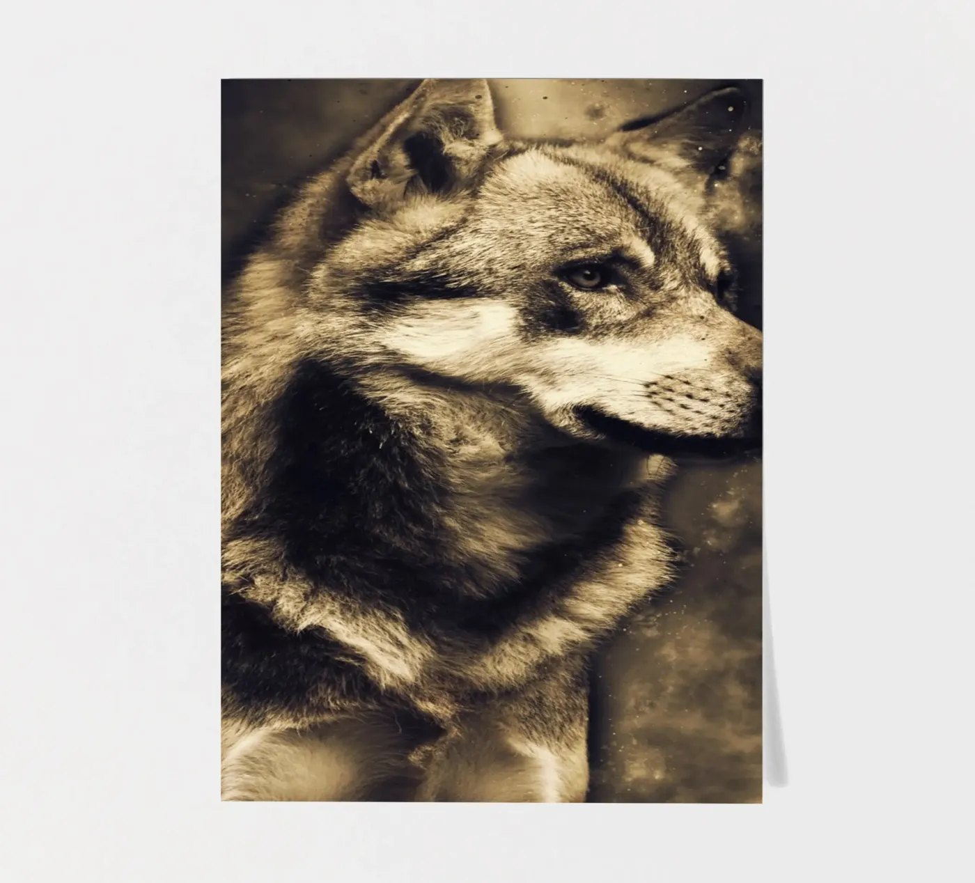 Wolf 3 sticker sheet by Mateo