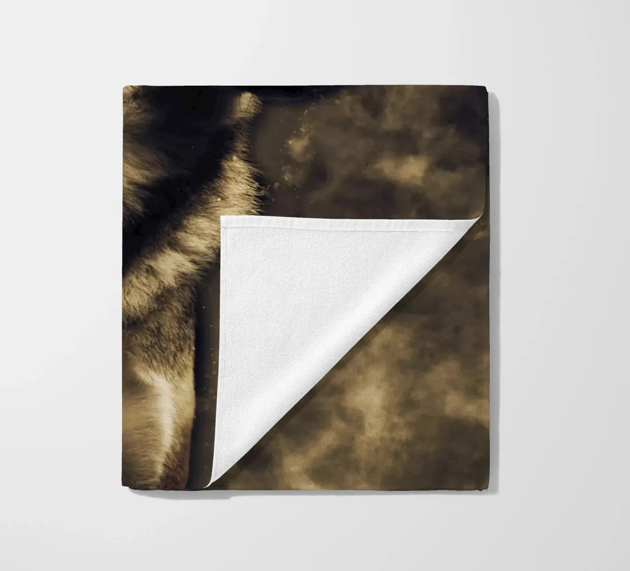 Wolf 3 telo mare da Mateo