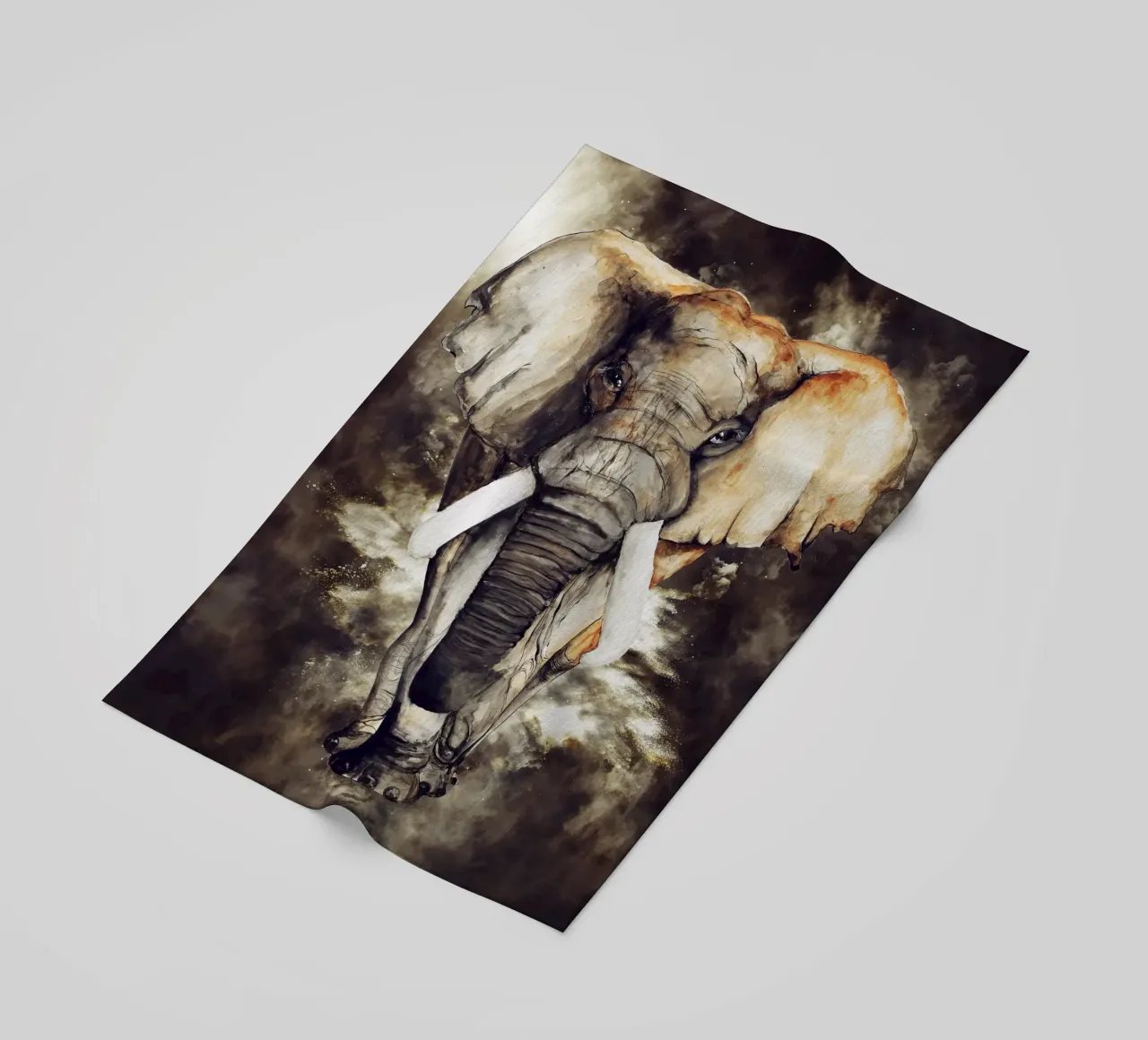 Elephant telo mare da Mateo