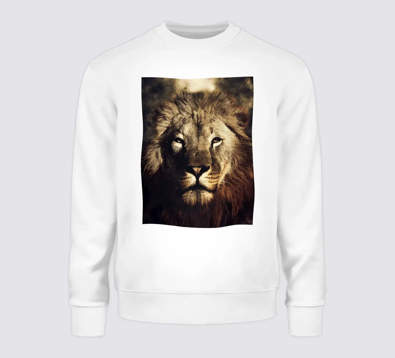 Lion felpa da Mateo