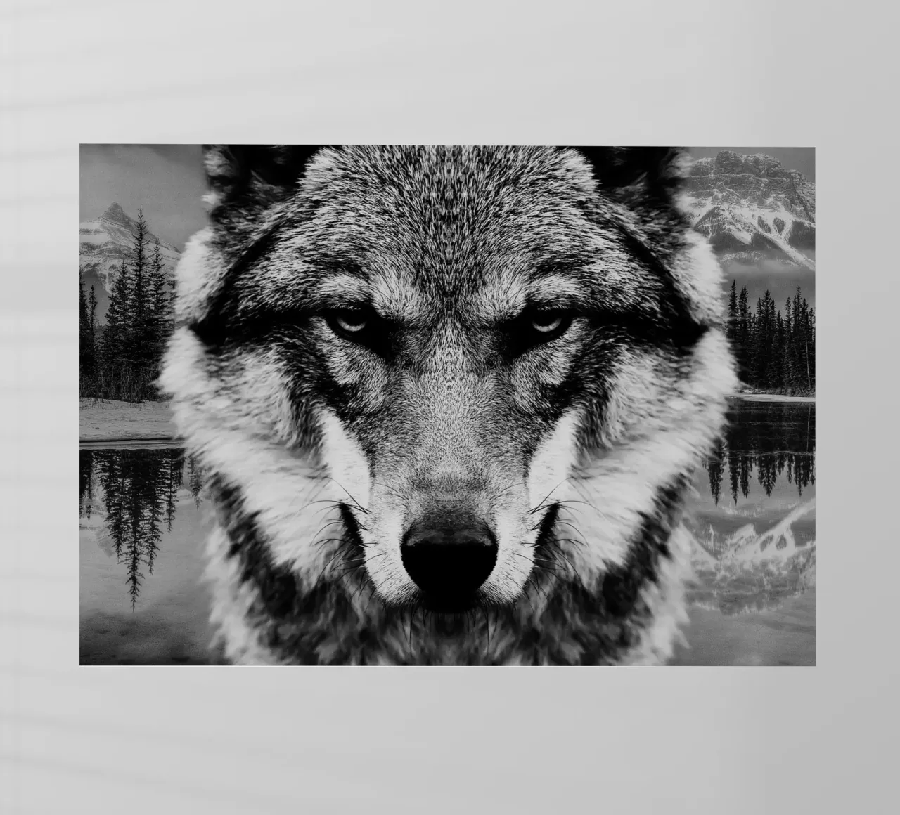 Wolf Forest pellicola backlit da Mateo