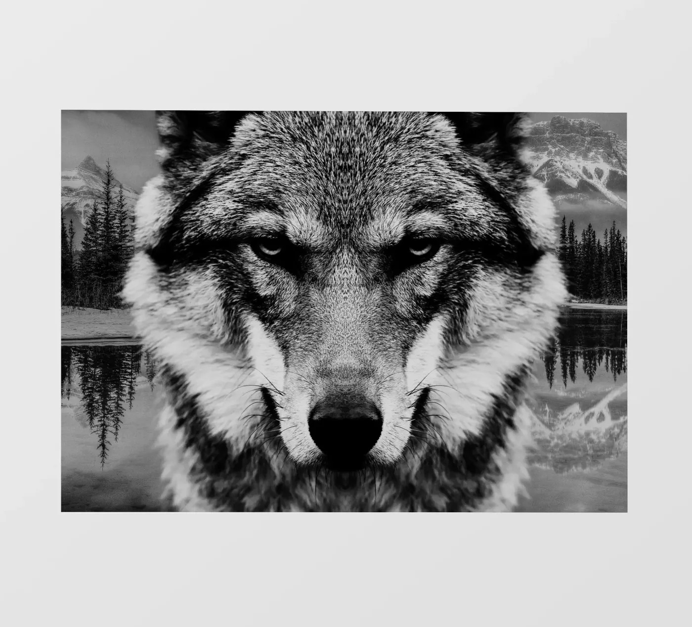 Wolf Forest fotobehang van Mateo