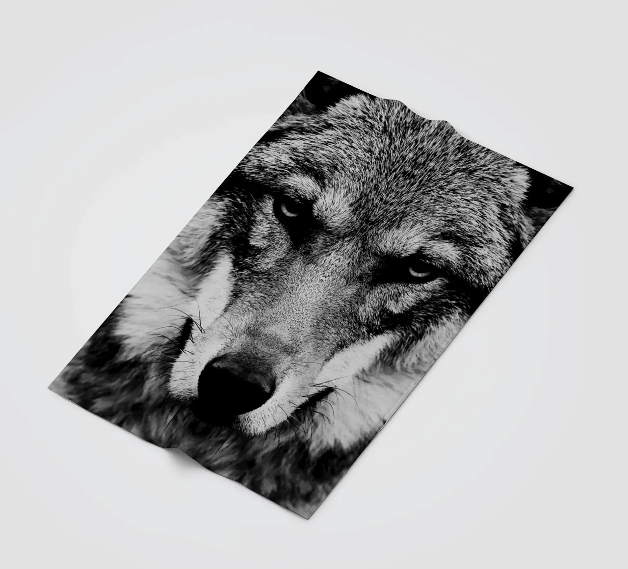 Wolf Forest coperta in pile da Mateo