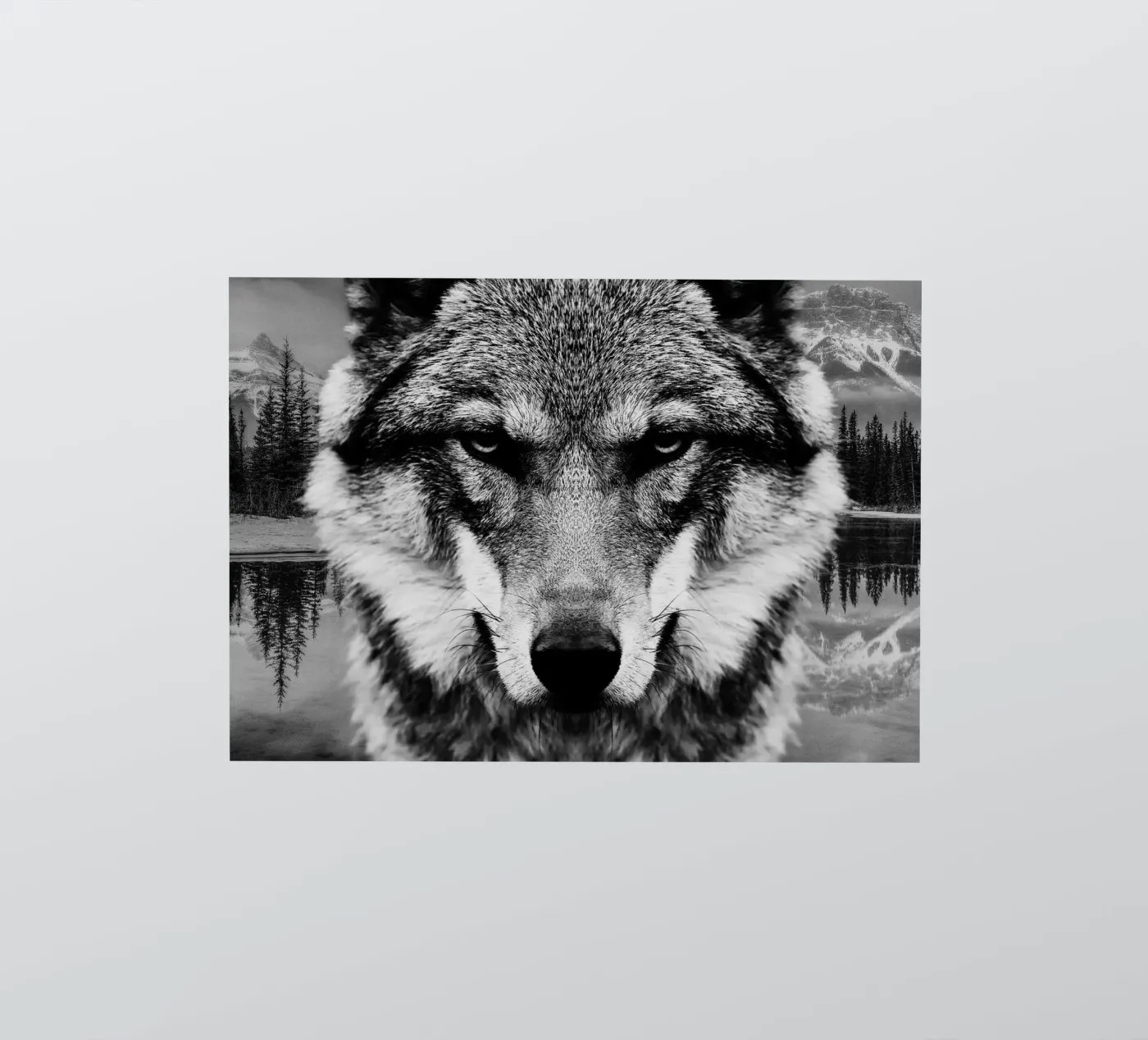 Wolf Forest sticker by Mateo