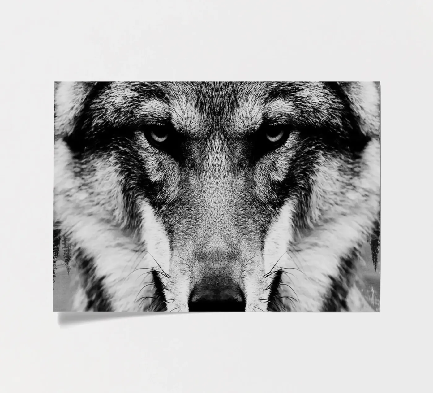 Wolf Forest sticker sheet by Mateo