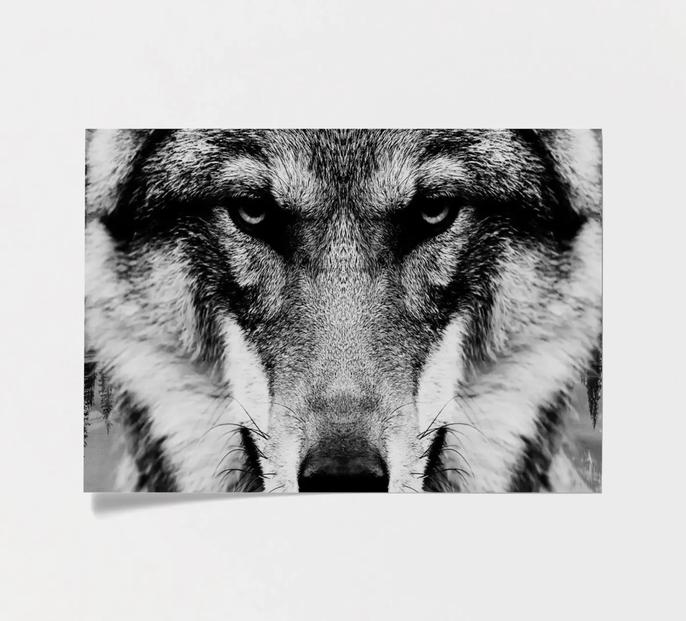 Wolf Forest sticker sheet by Mateo