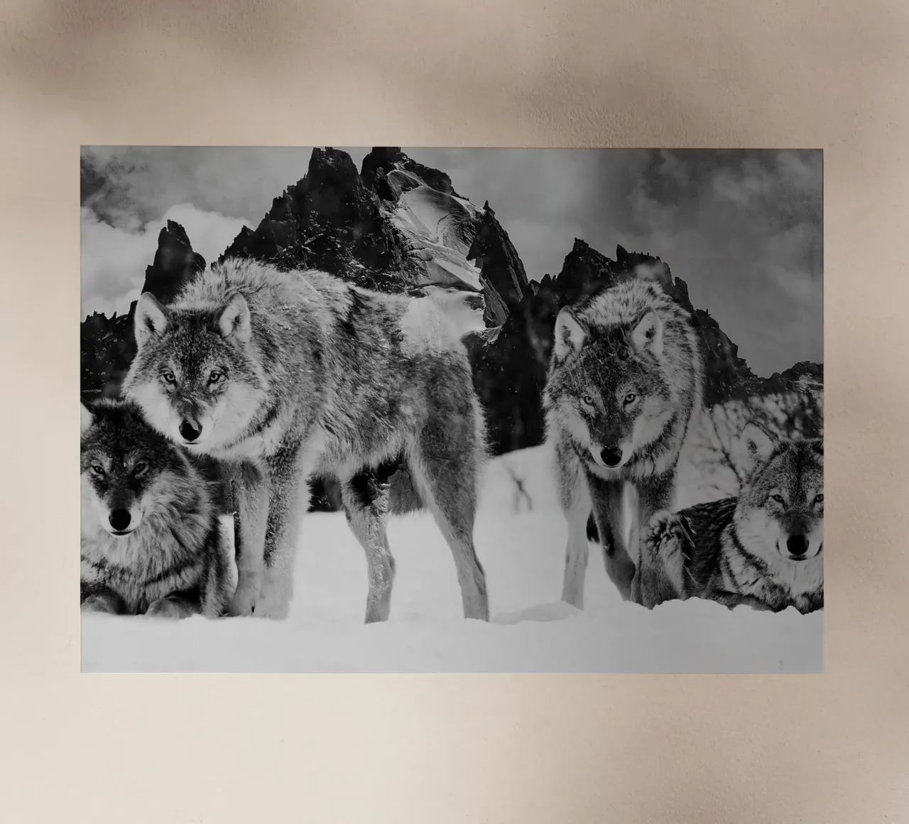 Wolves Mountains pellicola backlit da Mateo