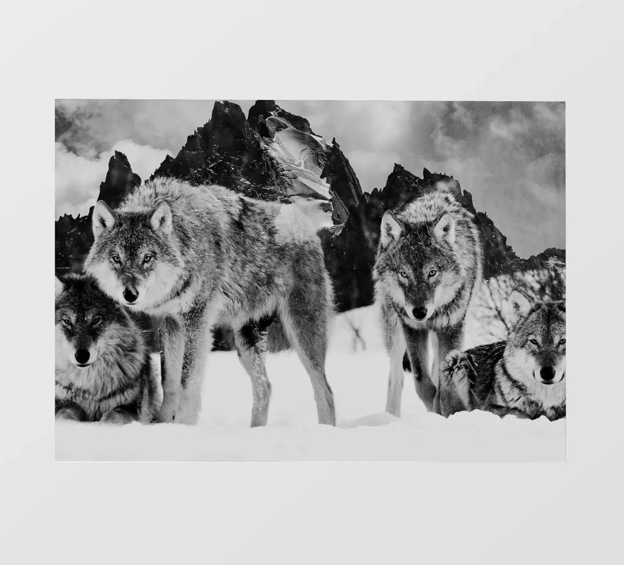 Wolves Mountains pellicola backlit da Mateo
