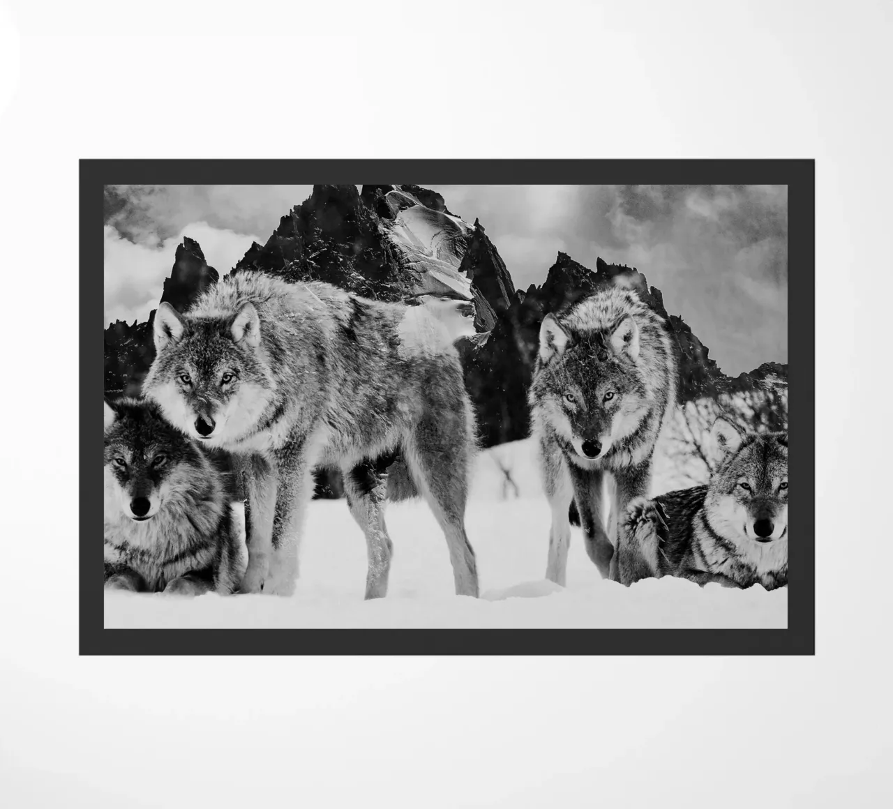 Wolves Mountains zerbino da Mateo
