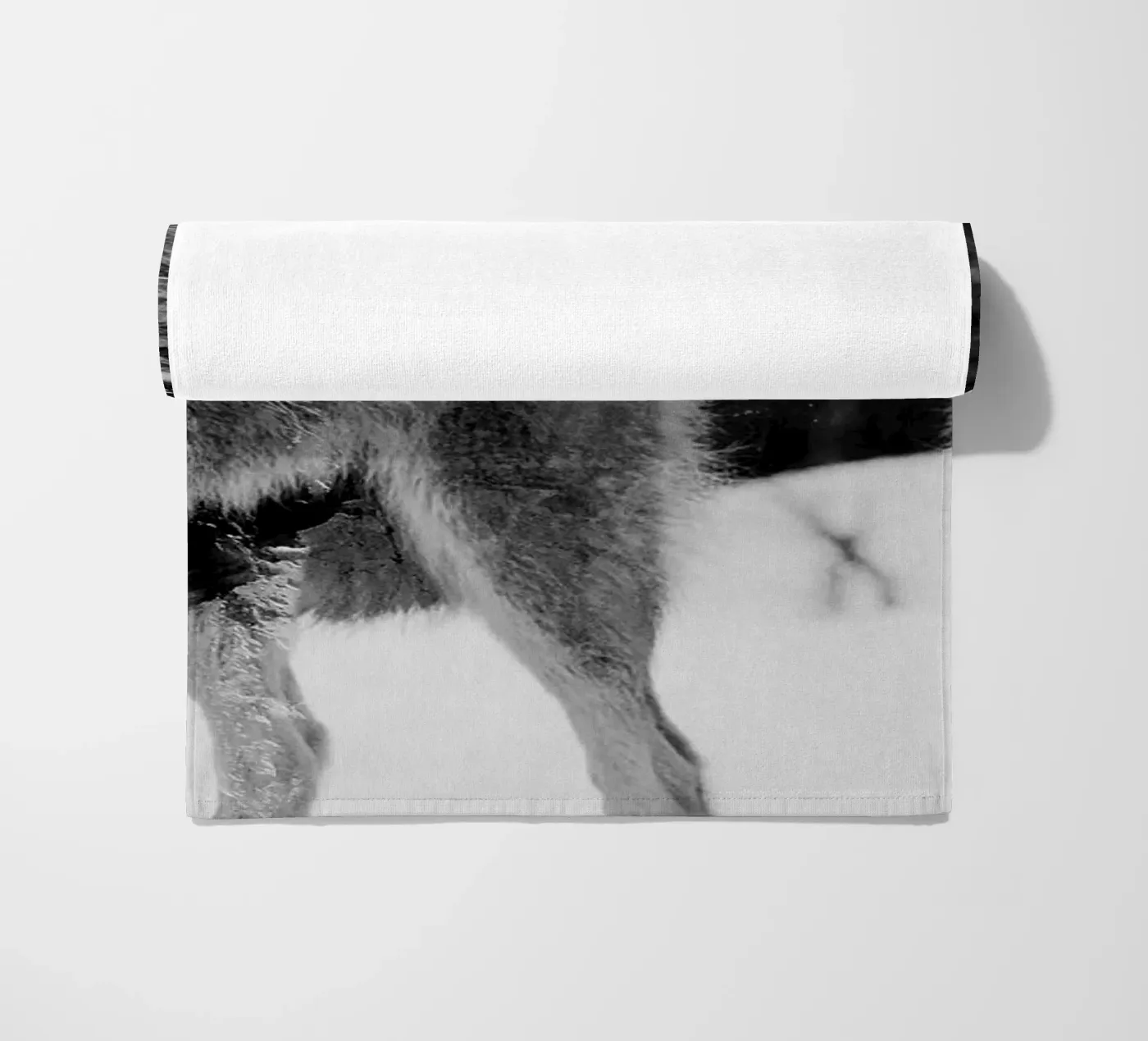 Wolves Mountains telo mare da Mateo