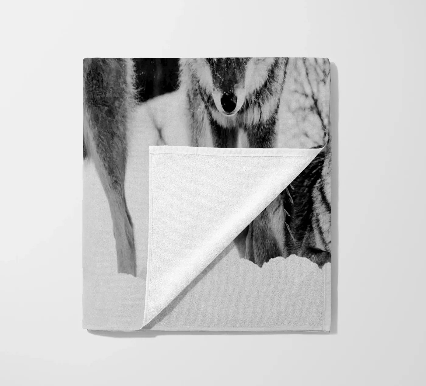 Wolves Mountains telo mare da Mateo