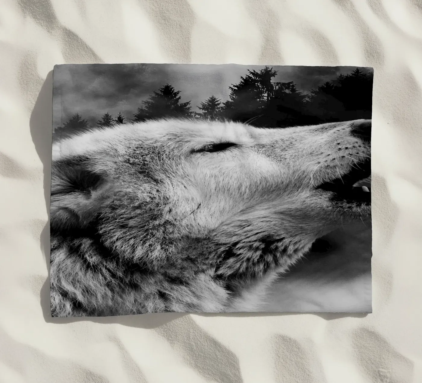 Wolf Forest 2 telo mare da Mateo