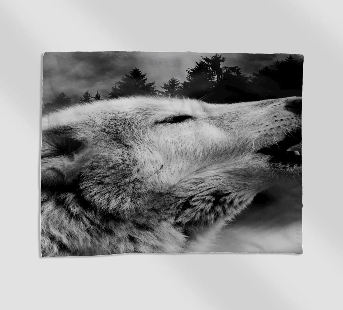 Wolf Forest 2 telo mare da Mateo