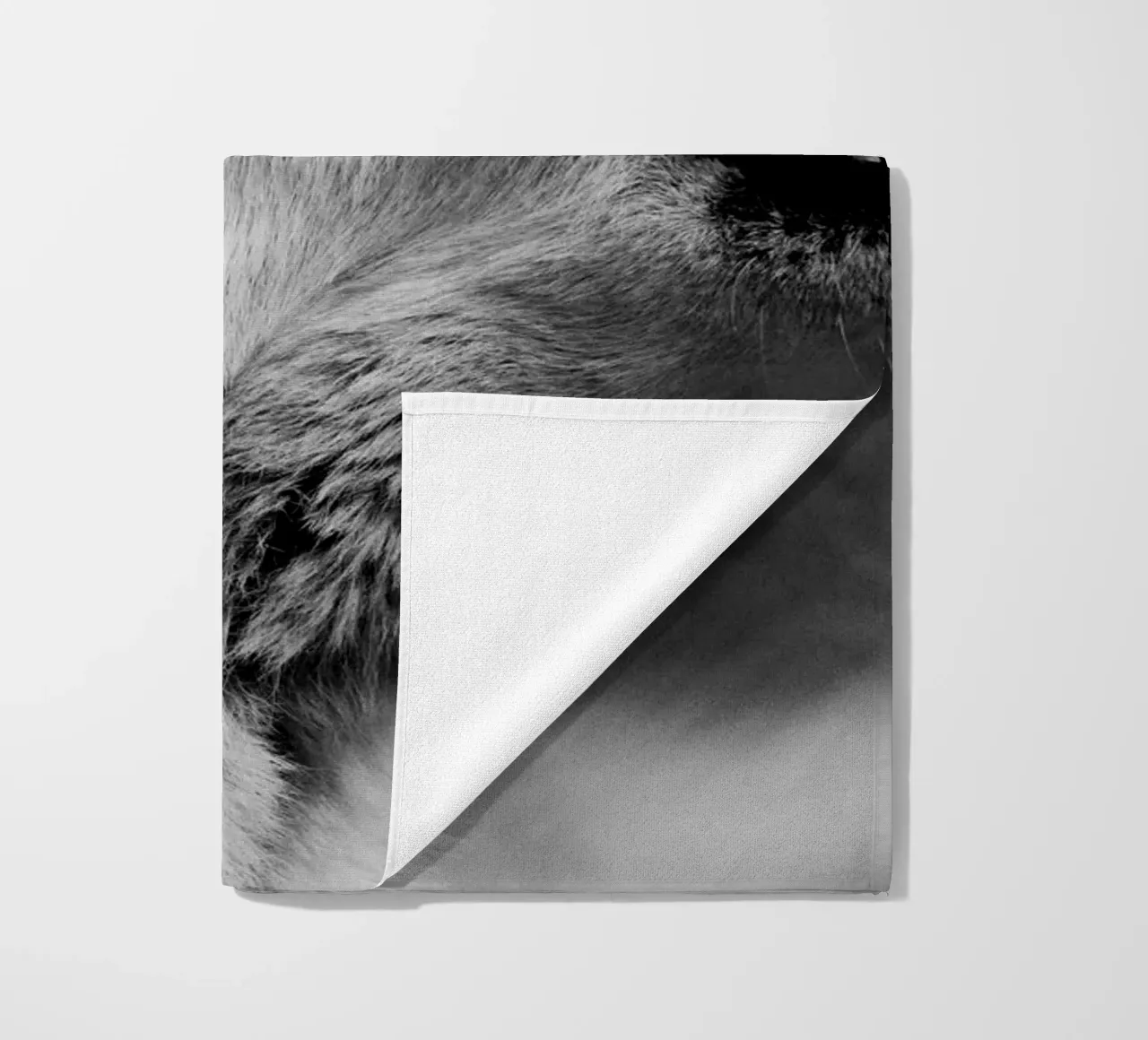 Wolf Forest 2 telo mare da Mateo