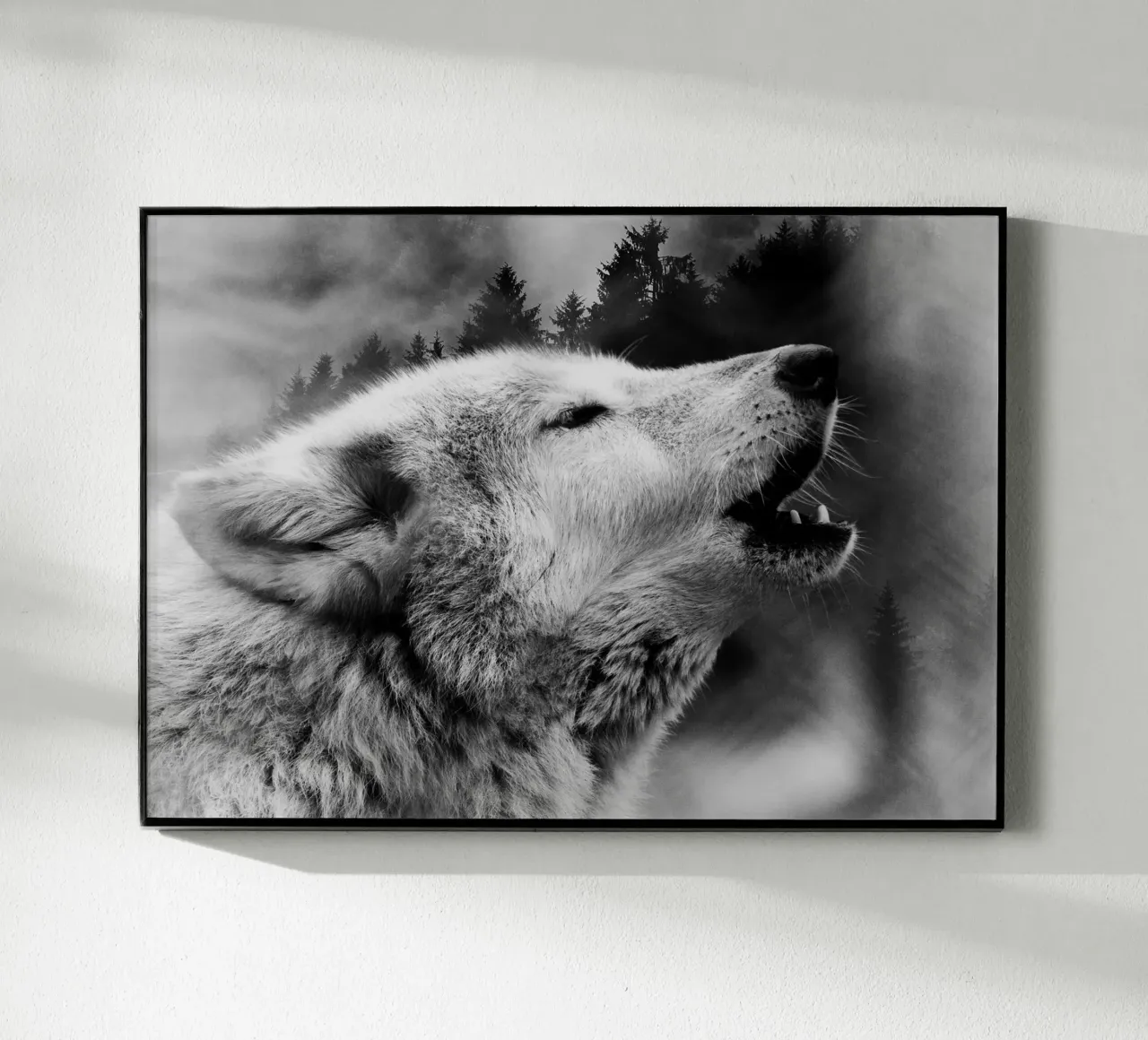 Wolf Forest 2 plexiglass da Mateo