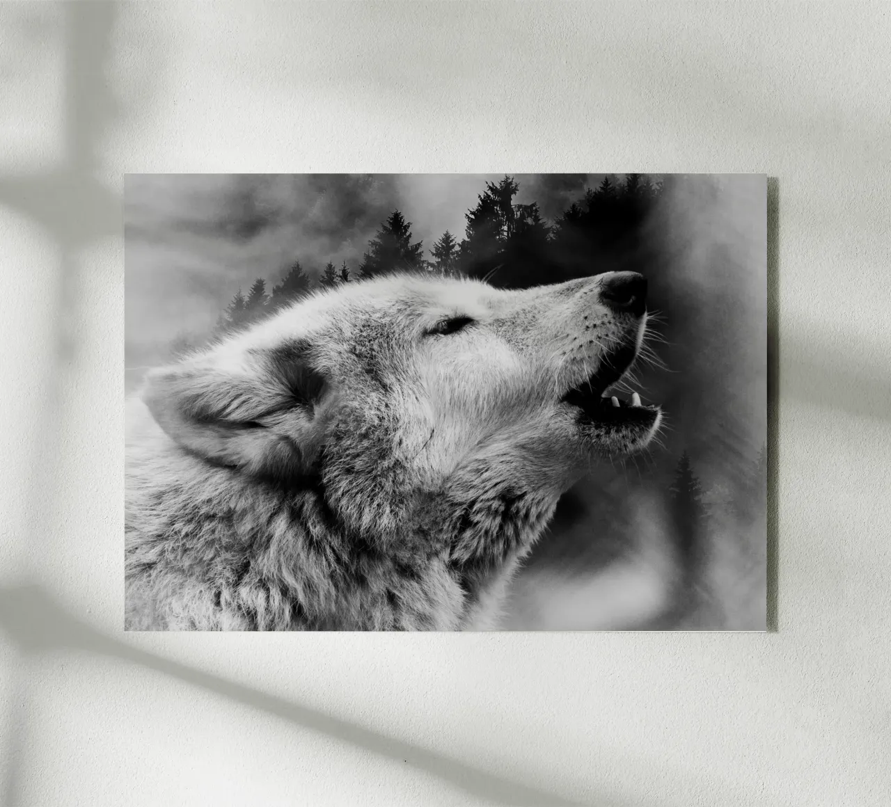 Wolf Forest 2 plexiglass da Mateo