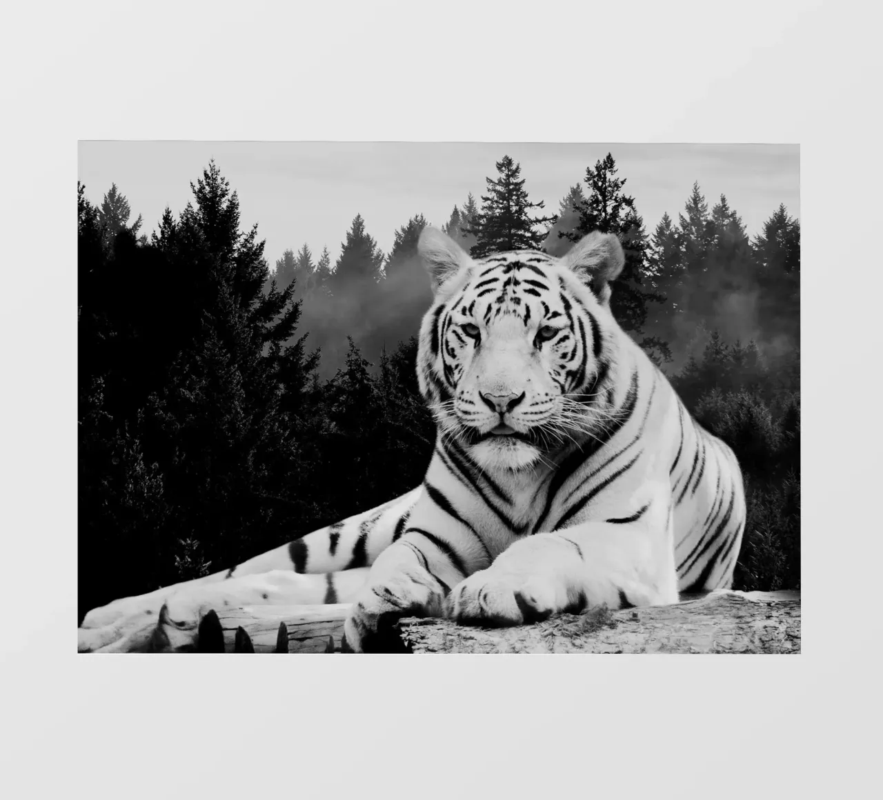 Tiger Forest telo in pvc da Mateo