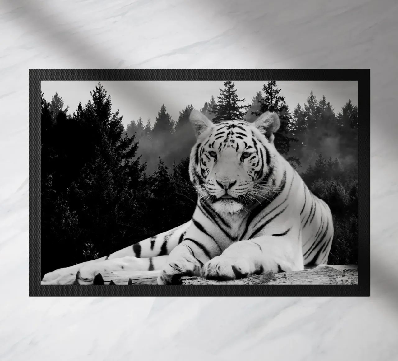 Tiger Forest zerbino da Mateo