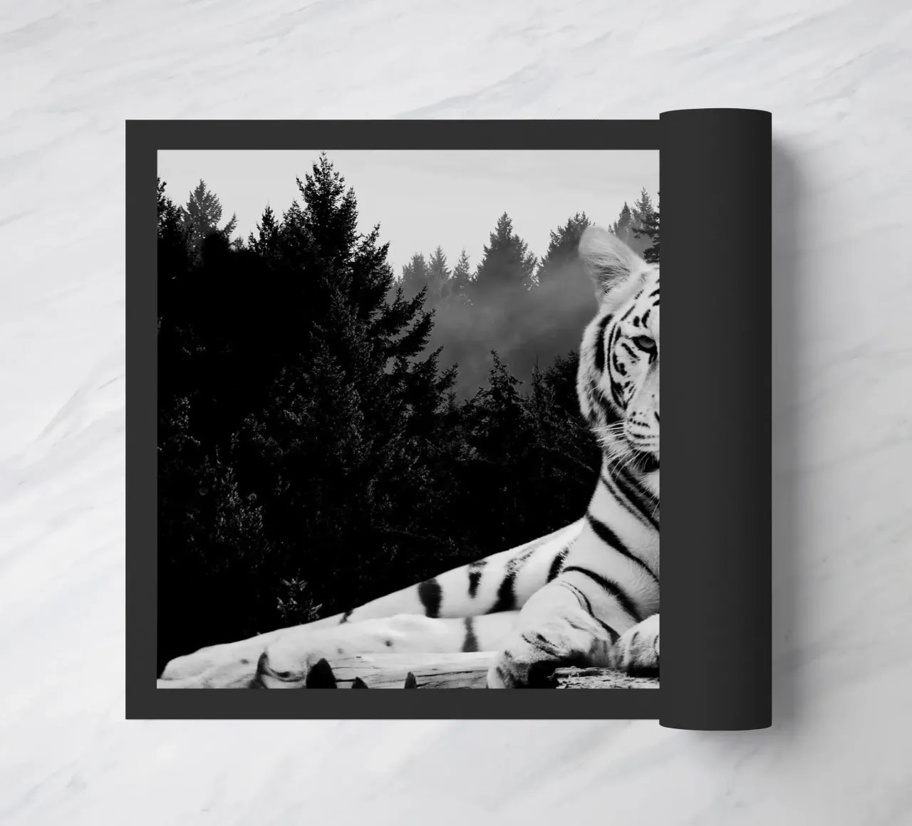 Tiger Forest zerbino da Mateo