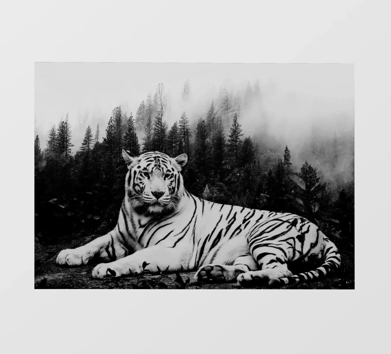 Tiger Forest 2 telo in pvc da Mateo