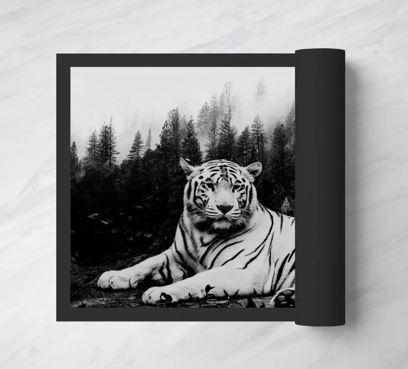 Tiger Forest 2 zerbino da Mateo