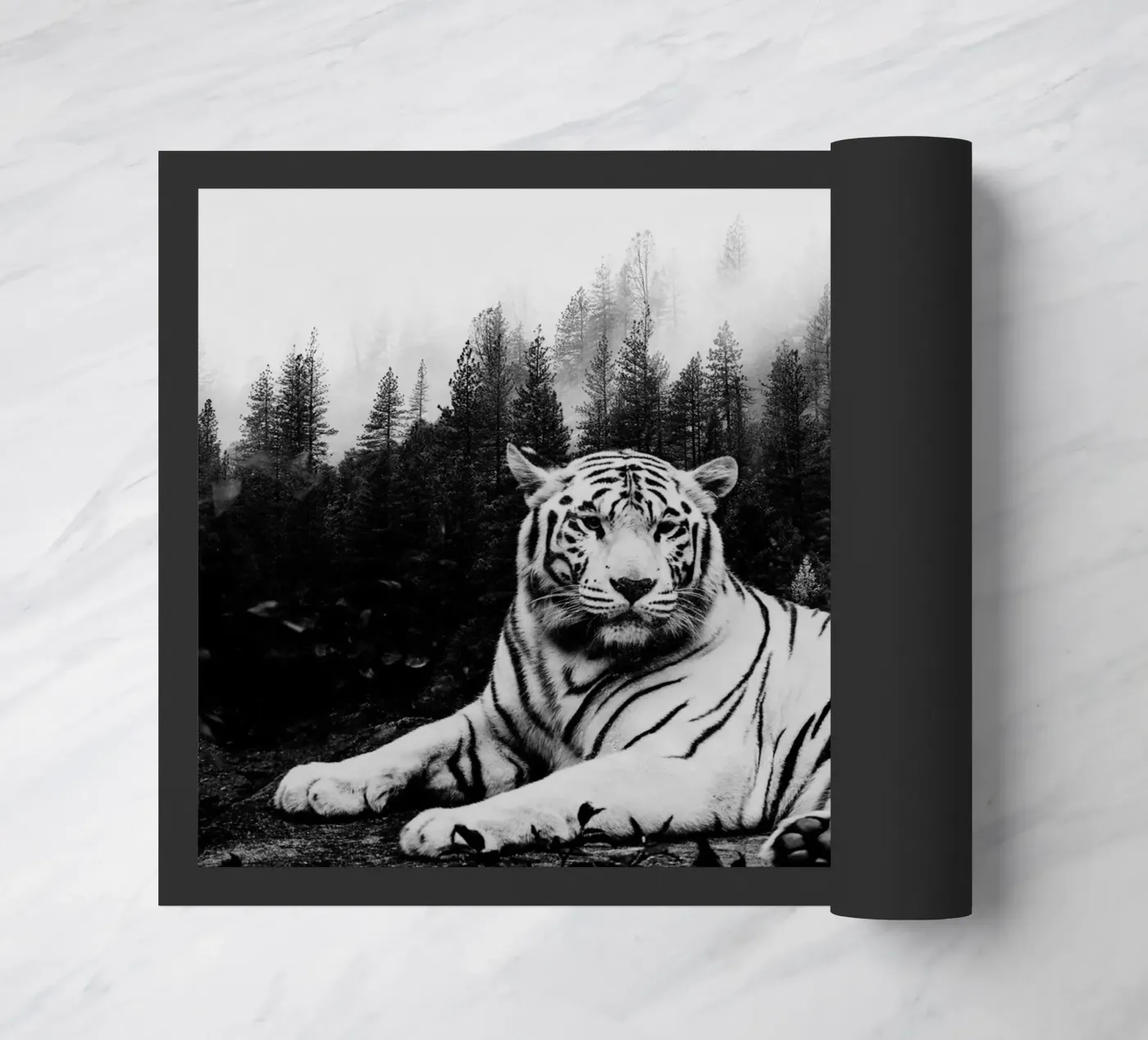 Tiger Forest 2 zerbino da Mateo