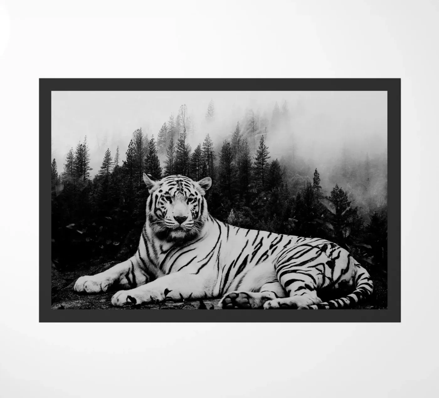 Tiger Forest 2 zerbino da Mateo