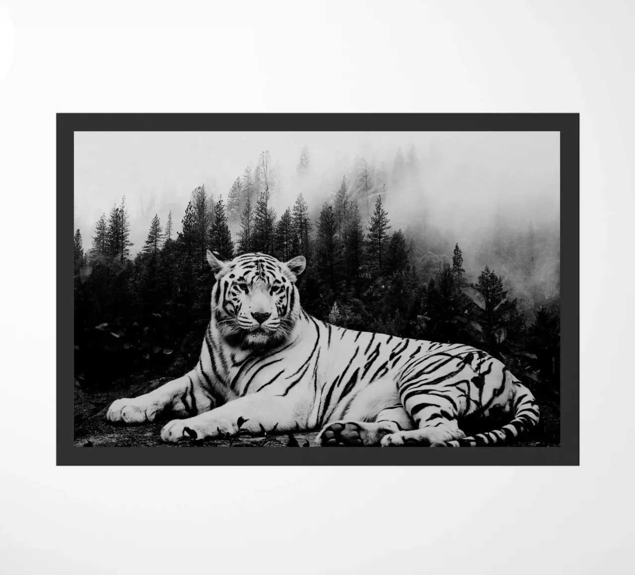 Tiger Forest 2 zerbino da Mateo