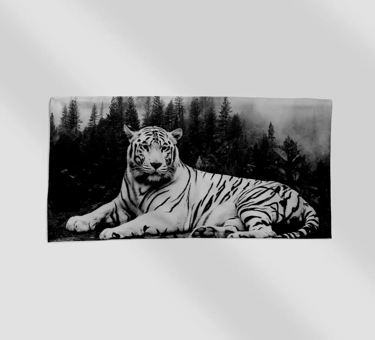 Tiger Forest 2 telo mare da Mateo