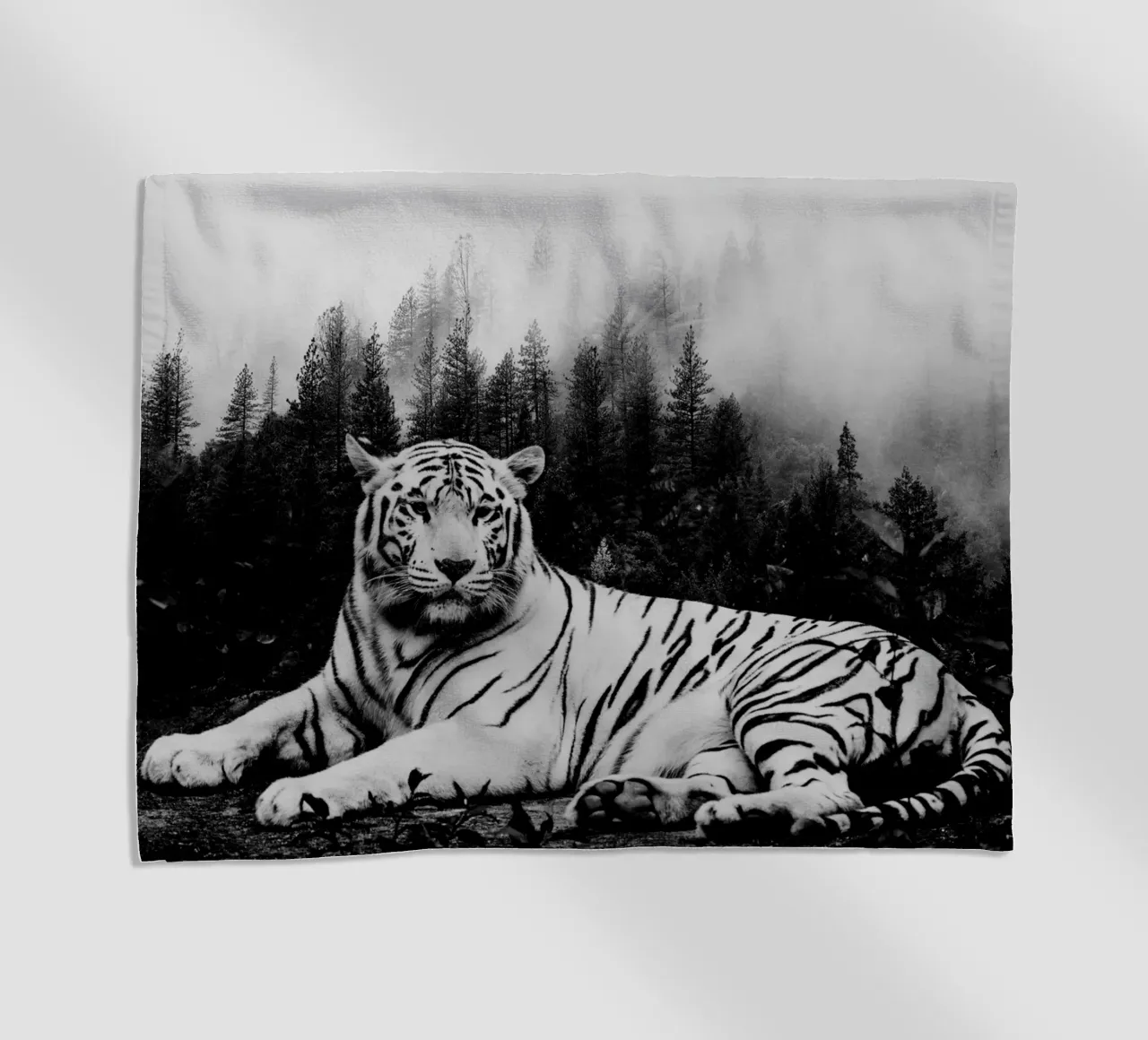 Tiger Forest 2 telo mare da Mateo