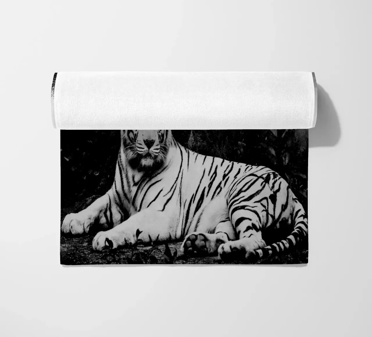 Tiger Forest 2 telo mare da Mateo
