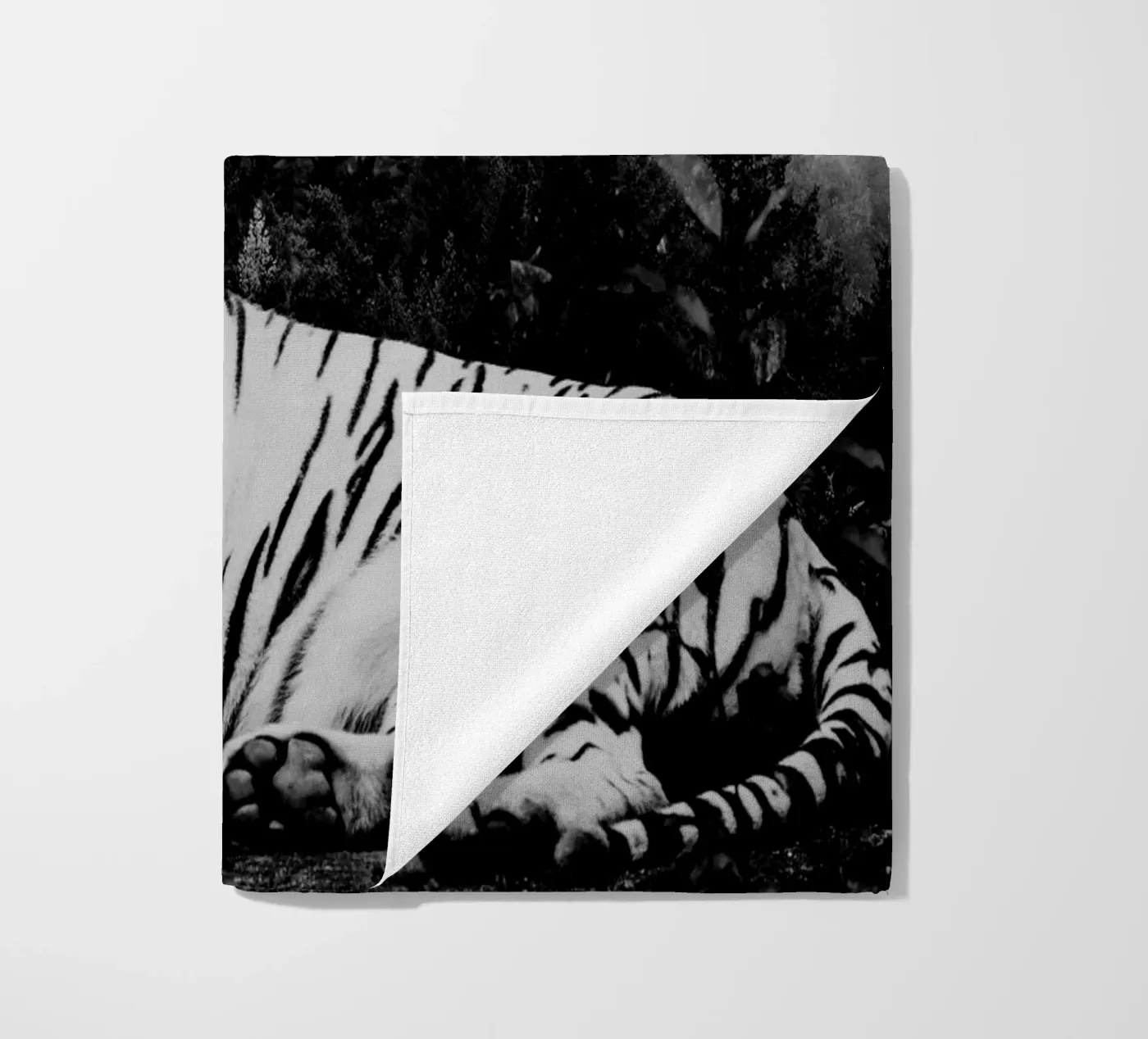 Tiger Forest 2 telo mare da Mateo