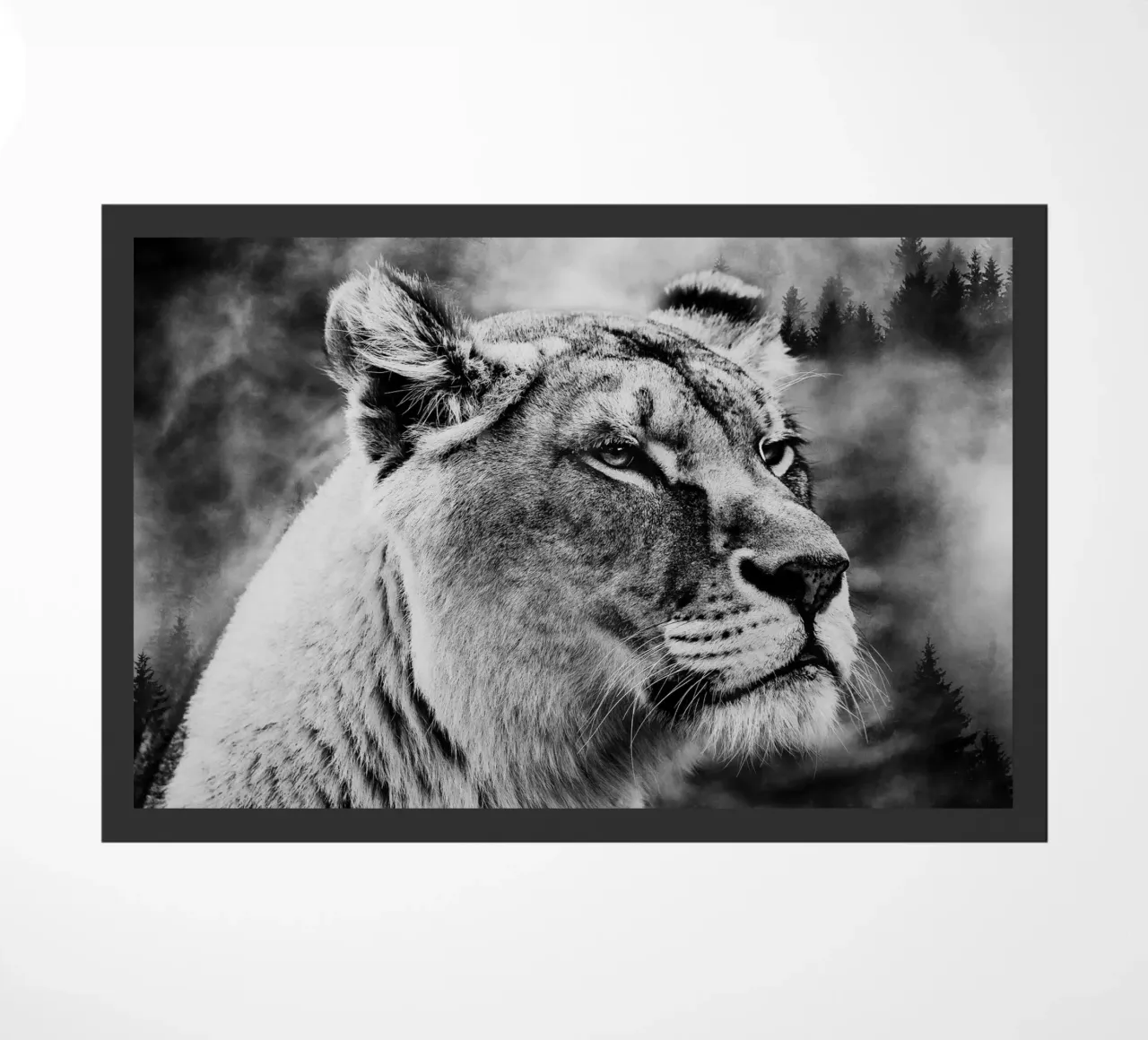 Lion Forest zerbino da Mateo