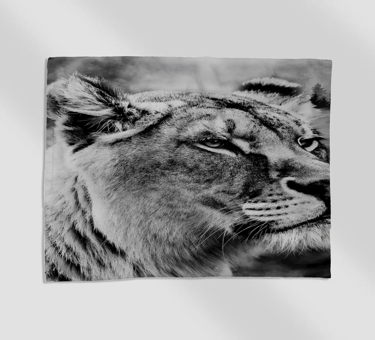 Lion Forest telo mare da Mateo