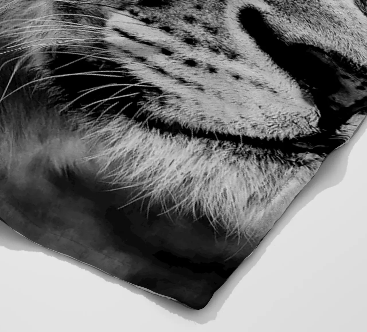 Lion Forest coperta in pile da Mateo