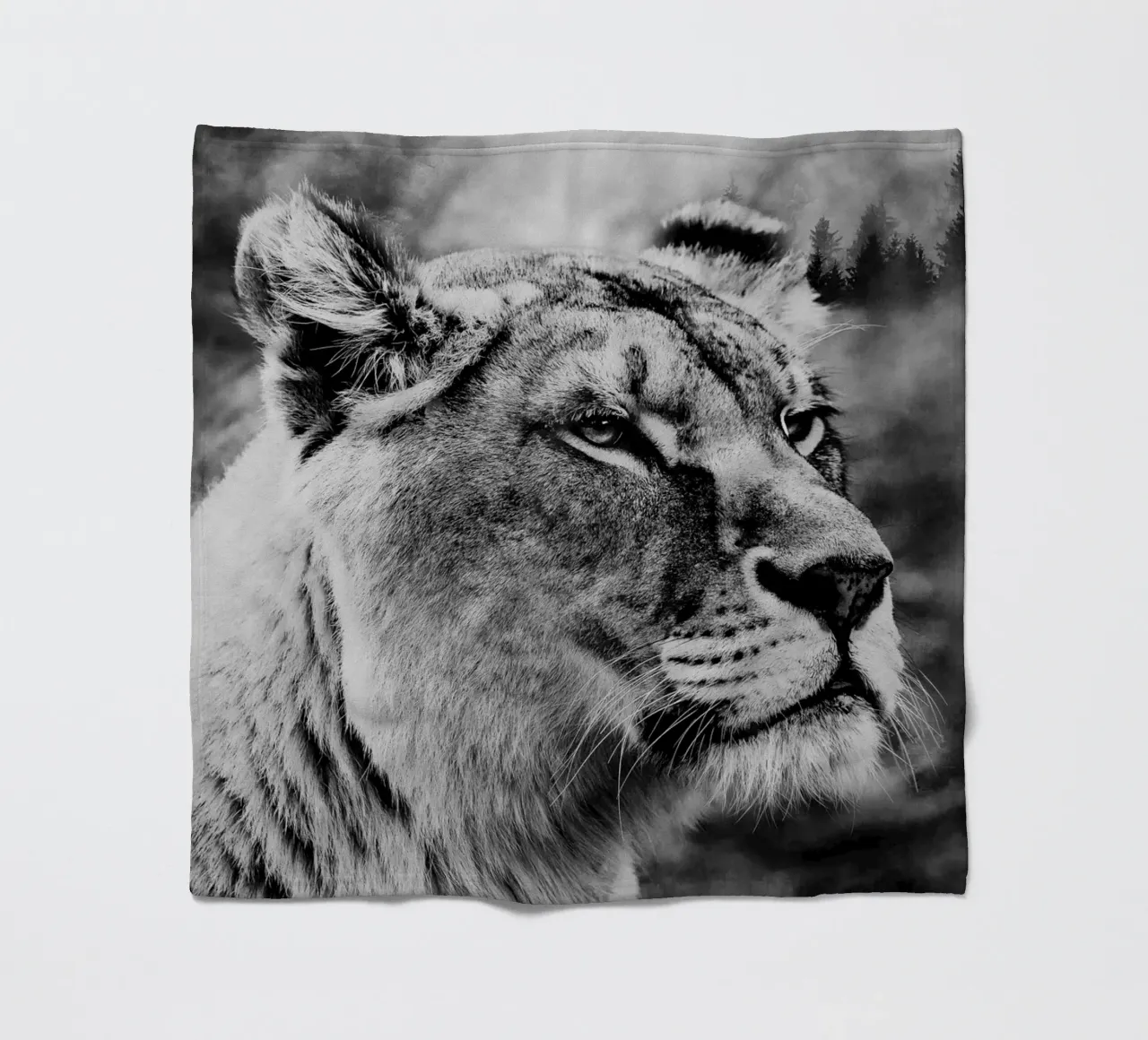 Lion Forest coperta in pile da Mateo