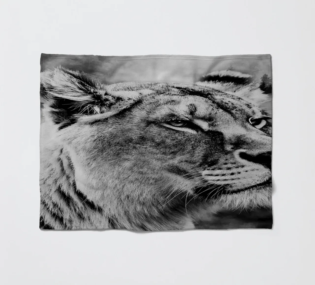 Lion Forest coperta in pile da Mateo