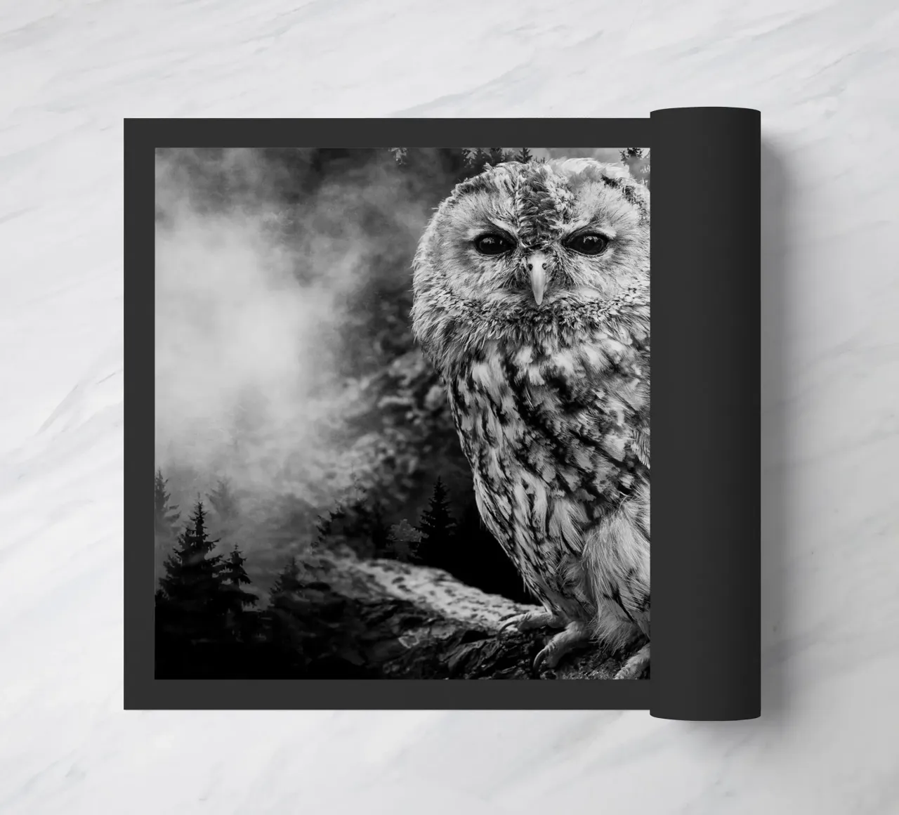 Owl Forest zerbino da Mateo