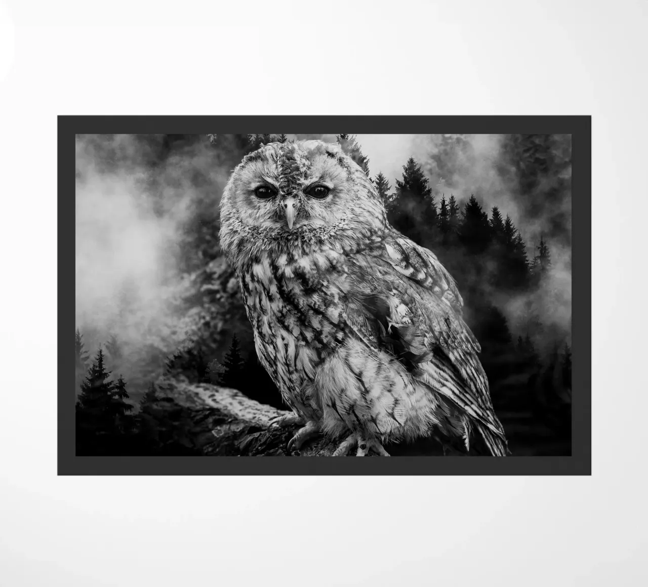 Owl Forest zerbino da Mateo