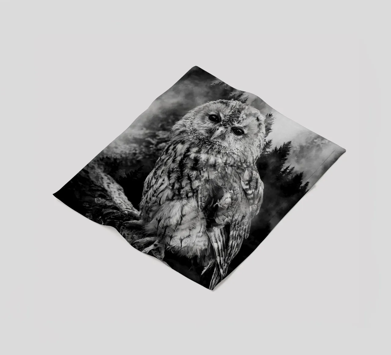 Owl Forest coperta in pile da Mateo
