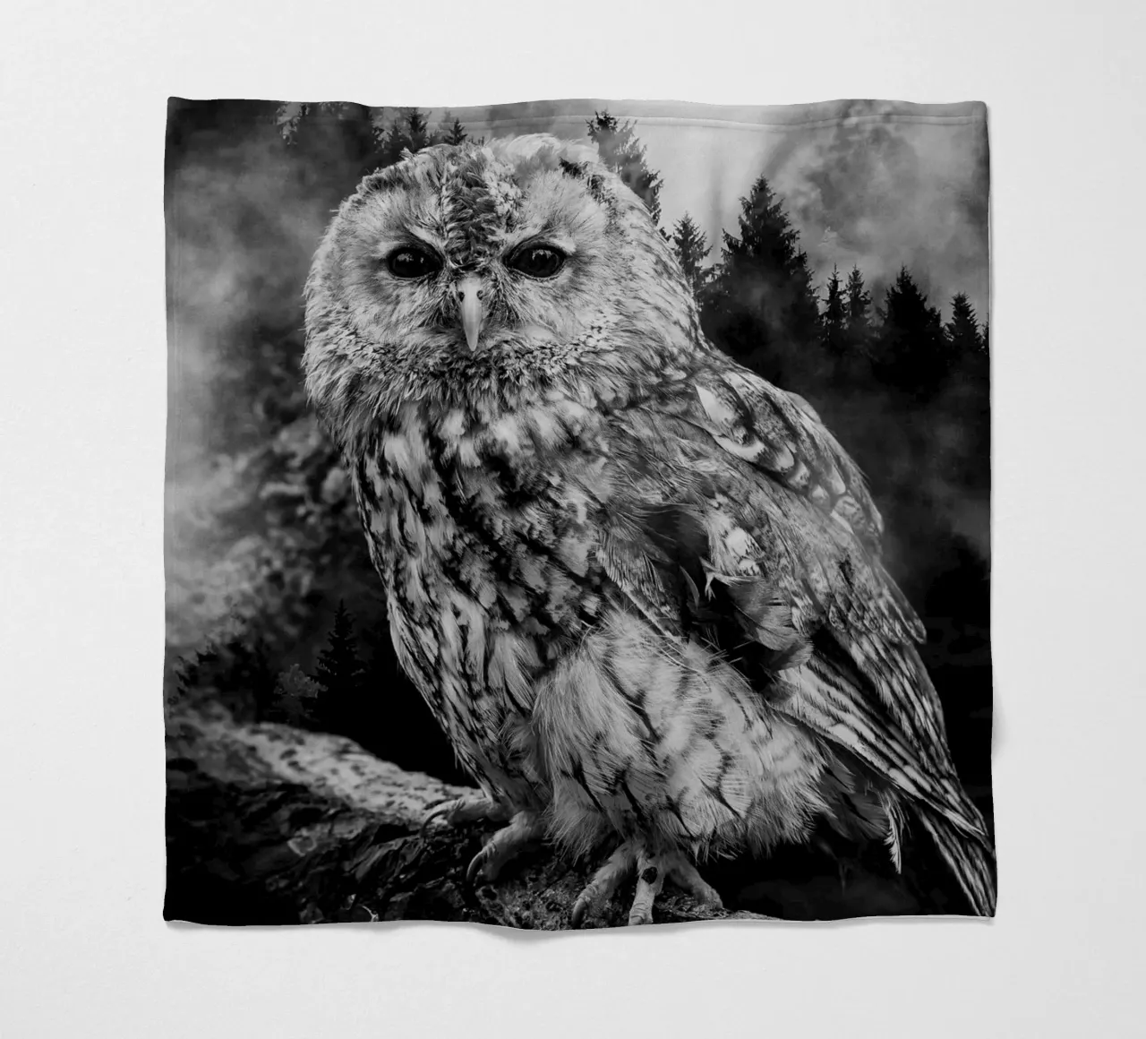 Owl Forest coperta in pile da Mateo