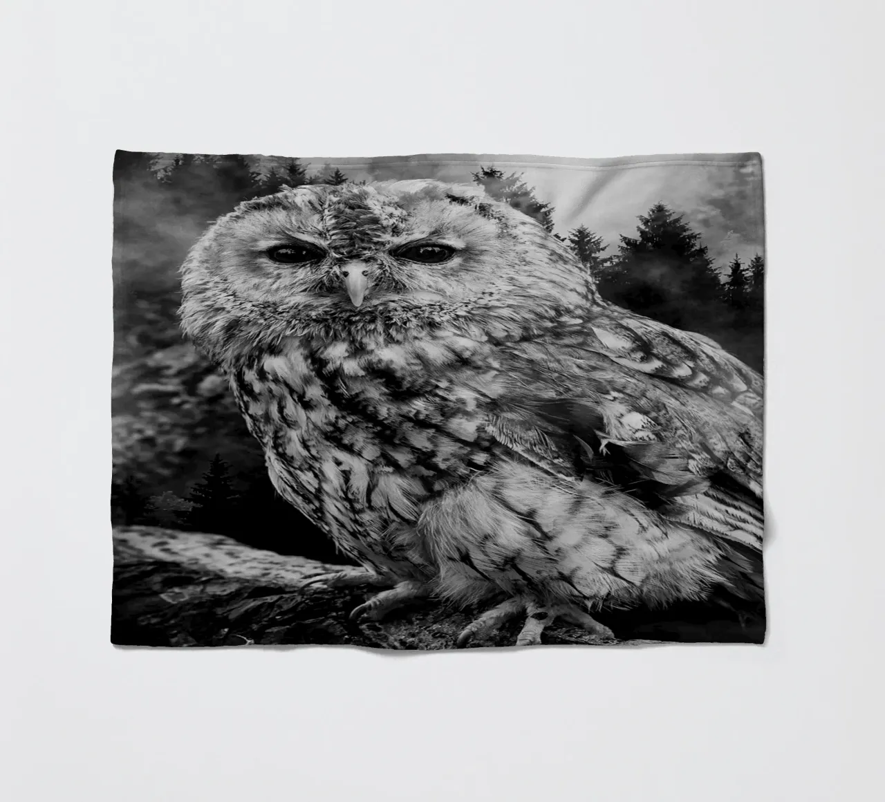 Owl Forest coperta in pile da Mateo