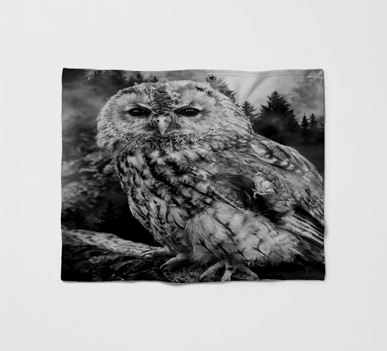 Owl Forest coperta in pile da Mateo