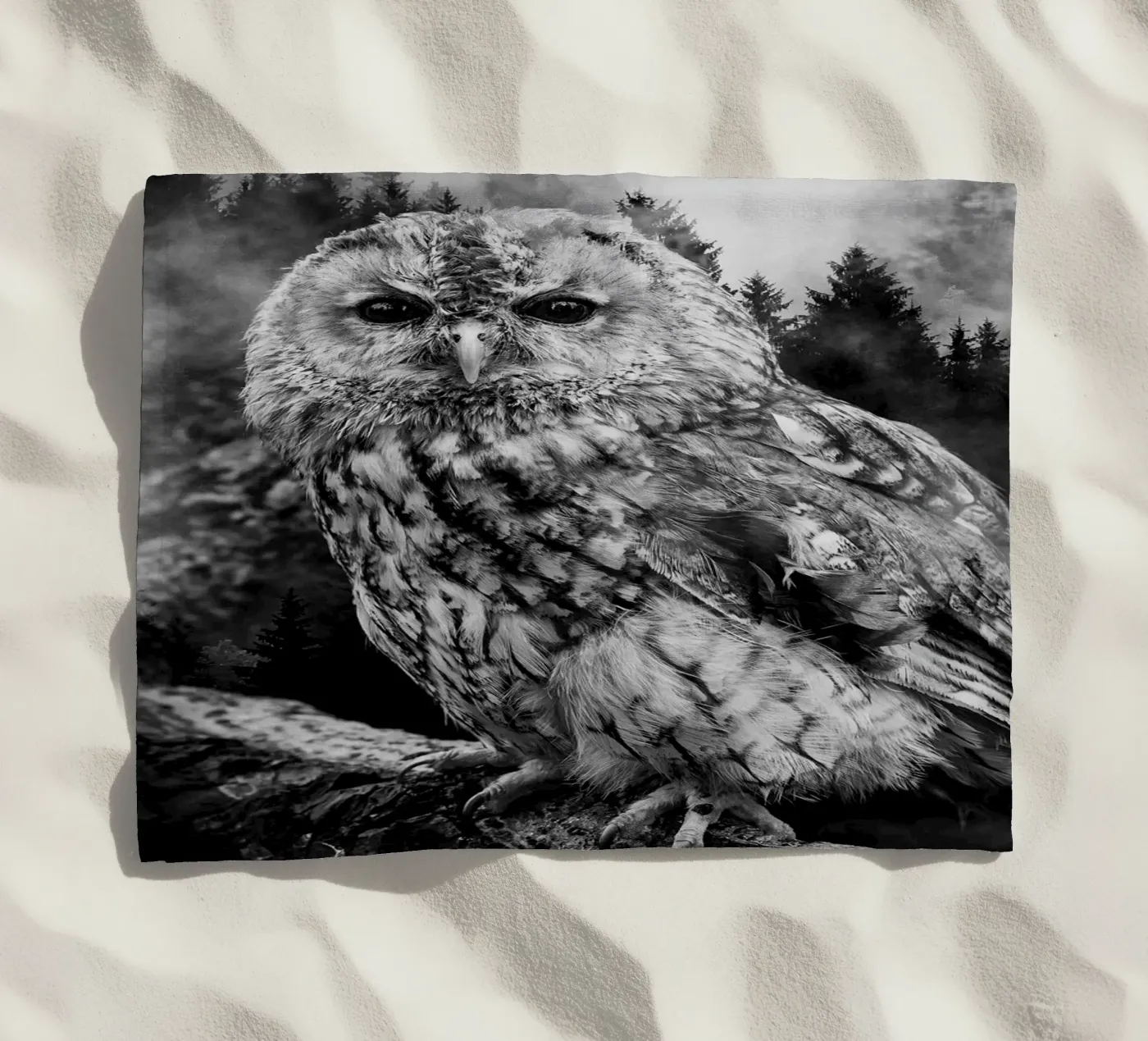 Owl Forest telo mare da Mateo