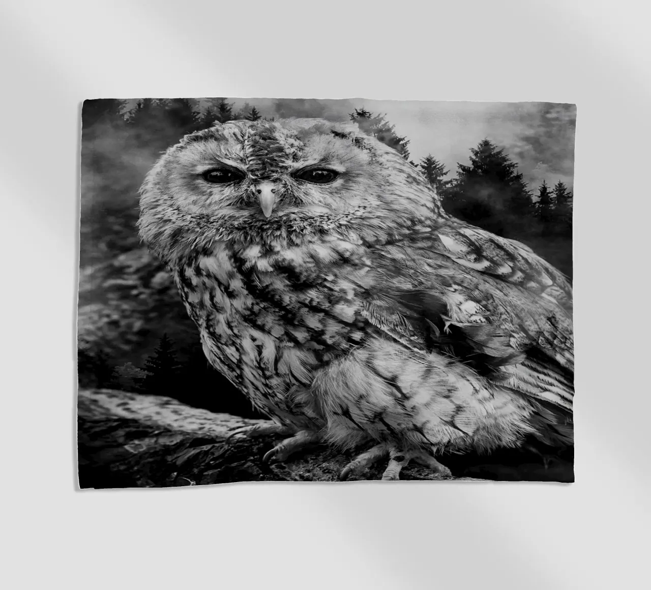 Owl Forest telo mare da Mateo