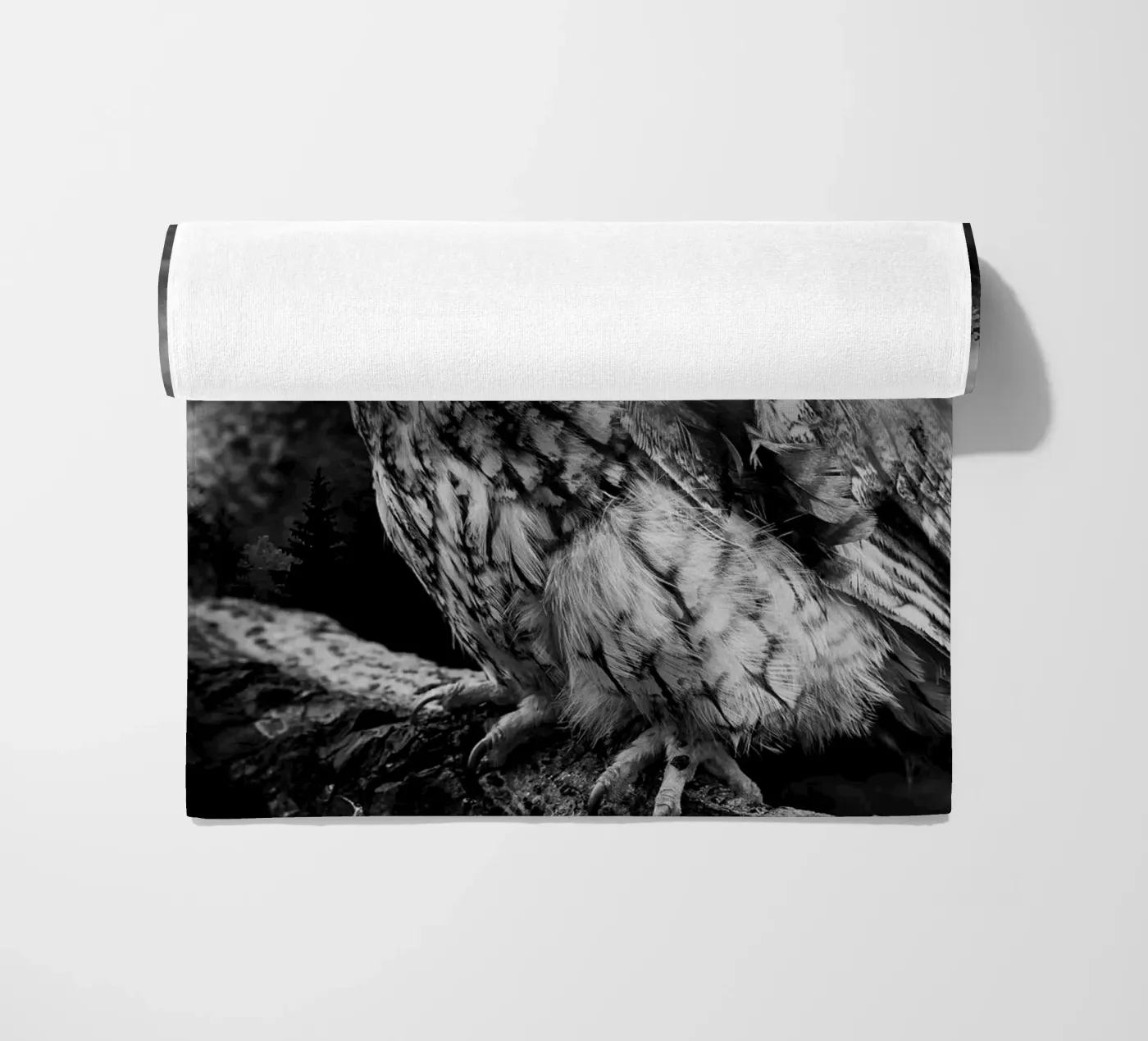 Owl Forest telo mare da Mateo