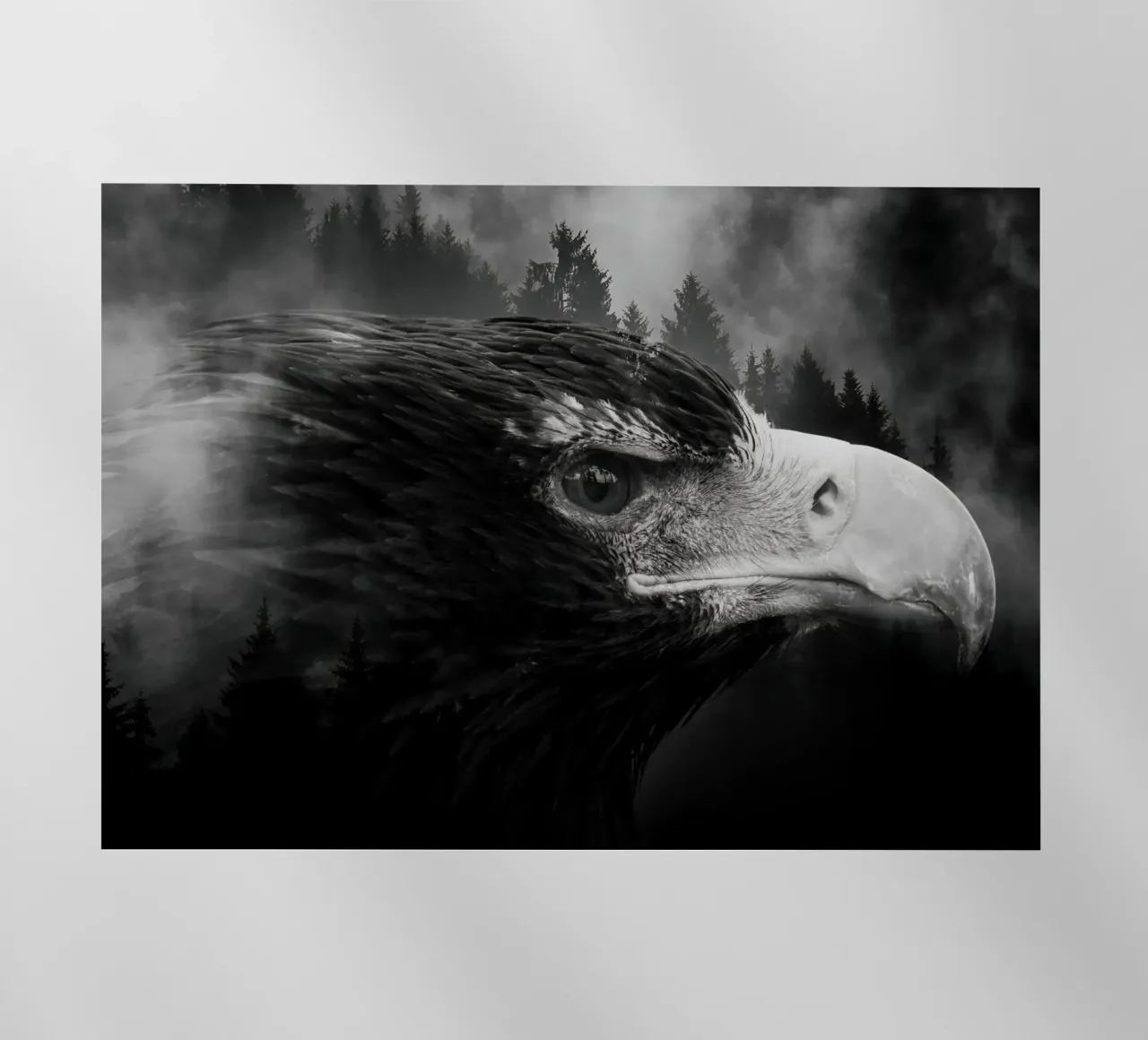 Eagle Forest pellicola backlit da Mateo