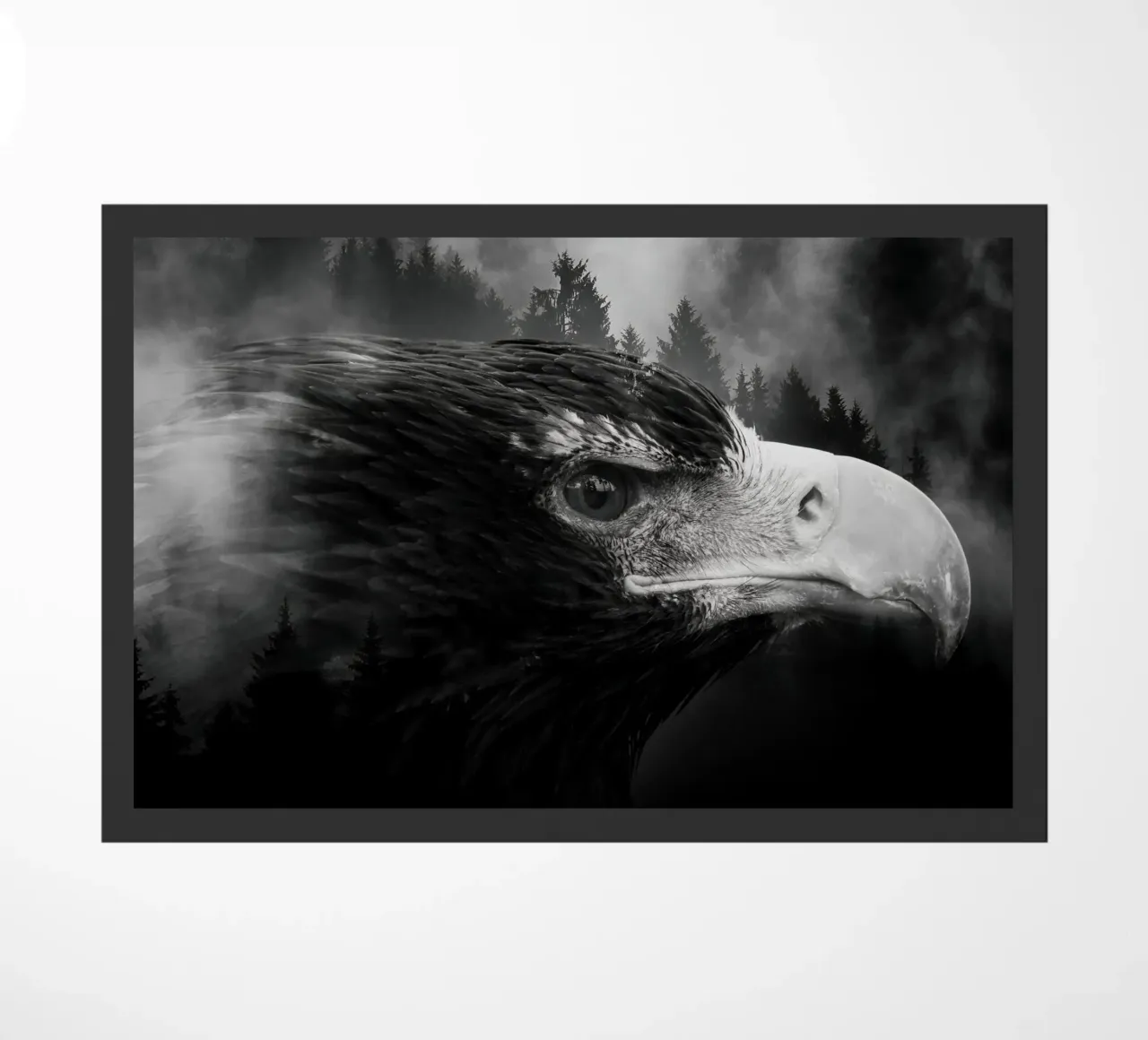Eagle Forest zerbino da Mateo